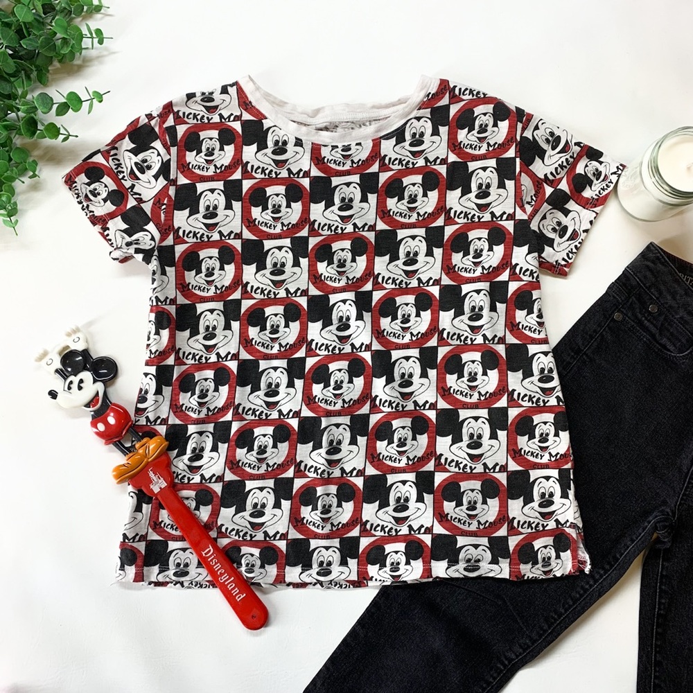 Disney Park Mickey Mouse Club, Color Block, Grid